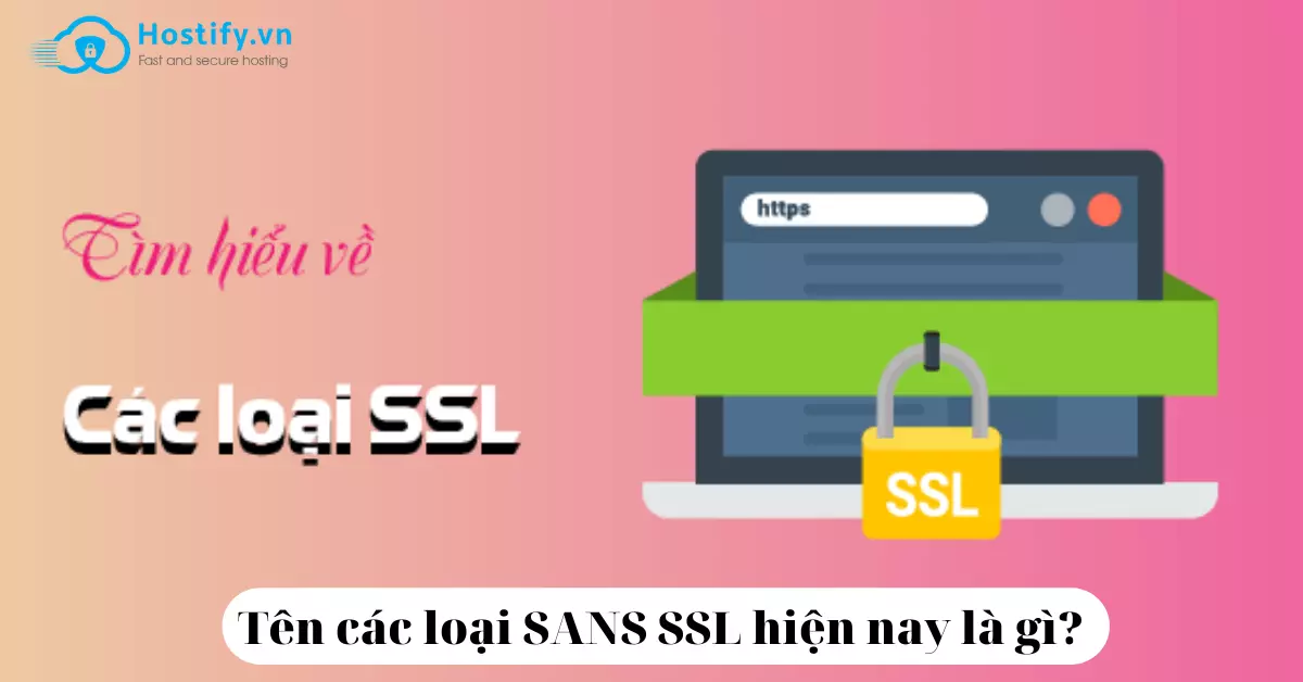 Tên các loại SANS SSL