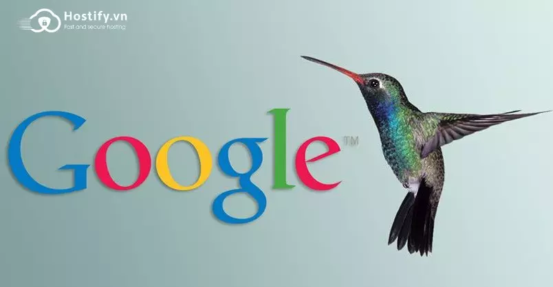 Những điều cần biết về thuật toán Google Hummingbird