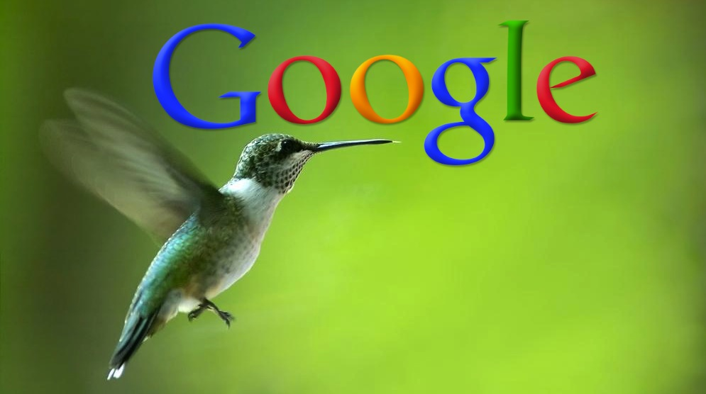 Google Hummingbird là gì? 5 điểm nổi bật về Hummingbird 1