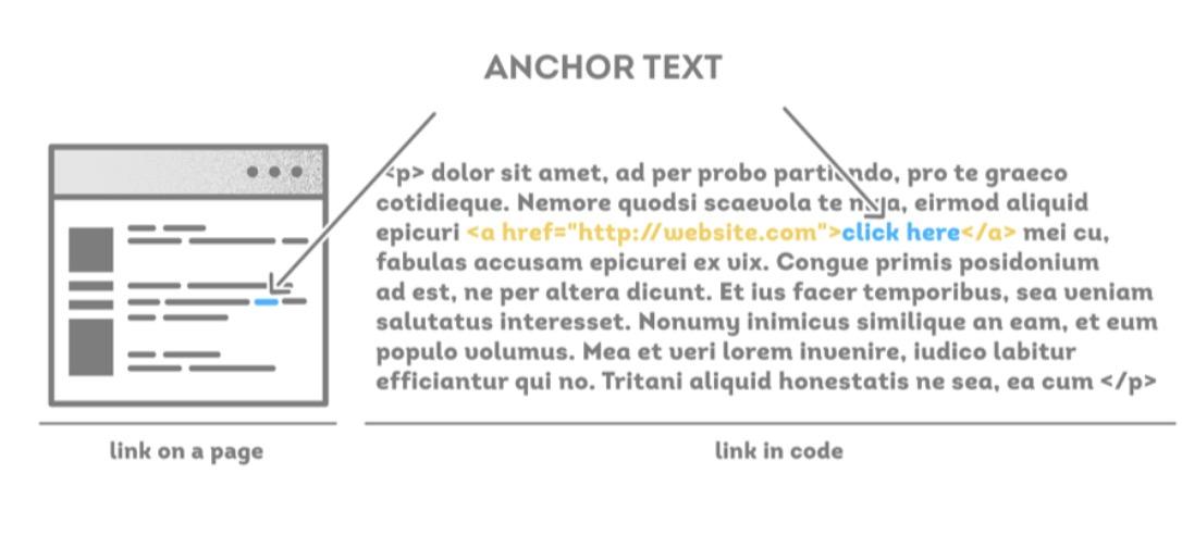 Anchor text là gì? Các loại anchor text thường gặp